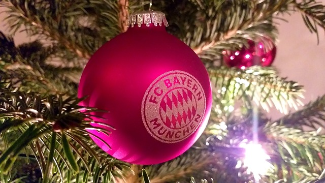 無愧的王者 無愧的王者