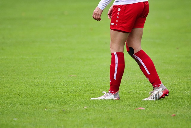 我们可以看 我们可以看