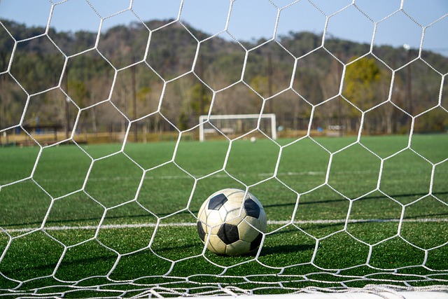 深圳队失去 深圳队失去