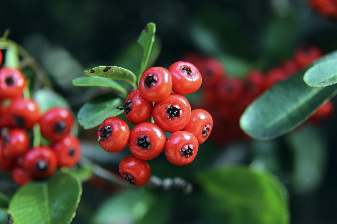 利的情况 利的情况